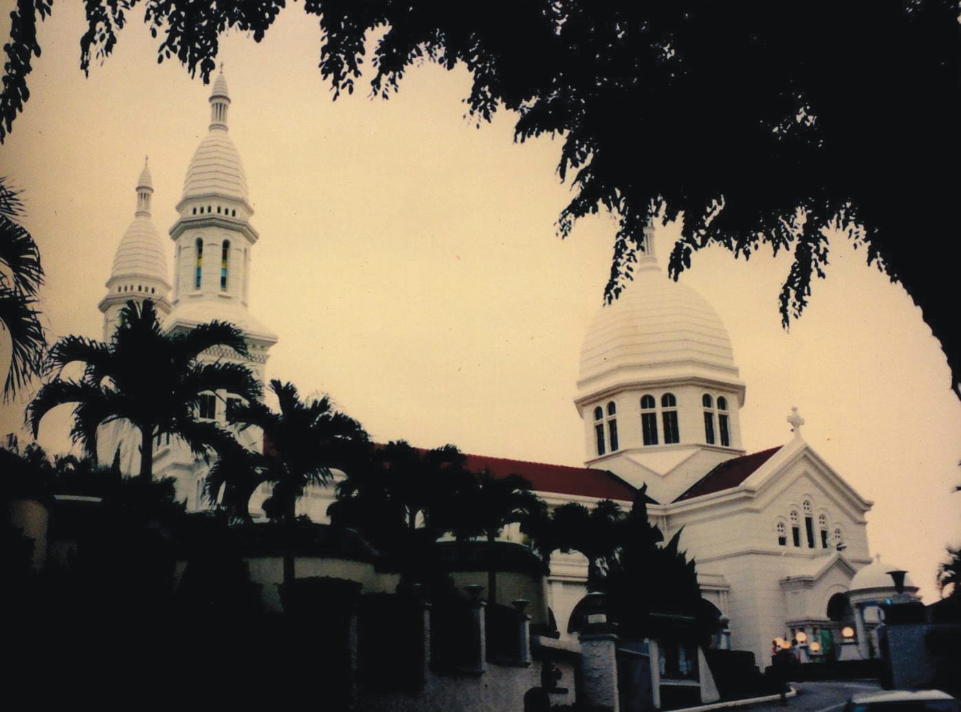 A white church with palm trees and two large domes under a canopy of dark tree branches.